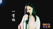 一剪梅小姐姐歌曲,穿越时空的美丽邂逅